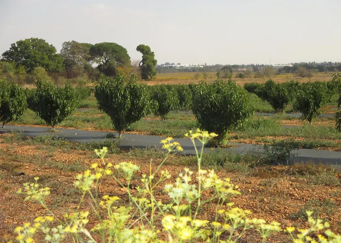 公寓 Mas Des Esclots